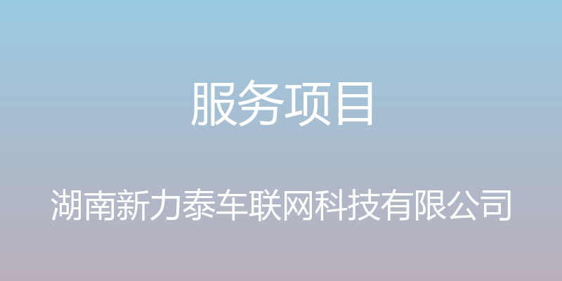 服务项目 - 湖南新力泰车联网科技有限公司