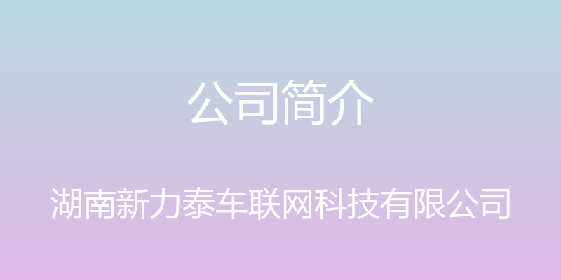 公司简介 - 湖南新力泰车联网科技有限公司