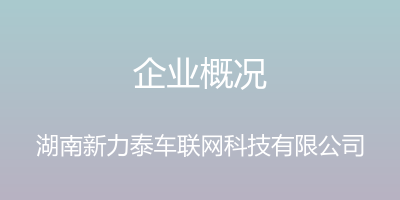 企业概况 - 湖南新力泰车联网科技有限公司