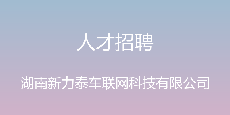 人才招聘 - 湖南新力泰车联网科技有限公司