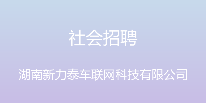 社会招聘 - 湖南新力泰车联网科技有限公司