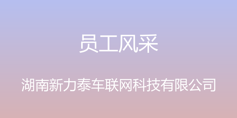 员工风采 - 湖南新力泰车联网科技有限公司