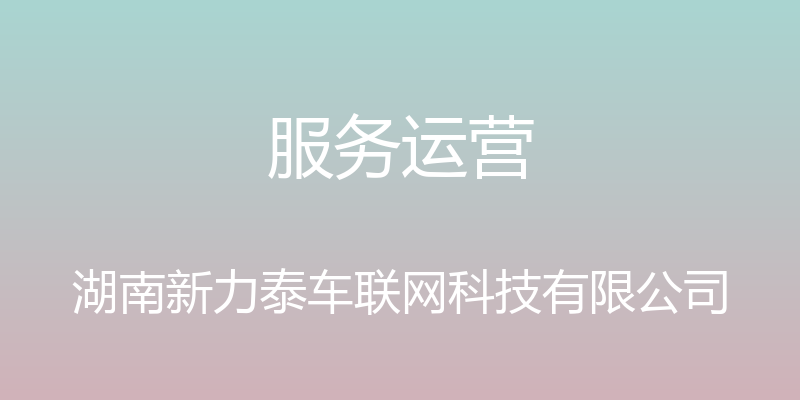 服务运营 - 湖南新力泰车联网科技有限公司