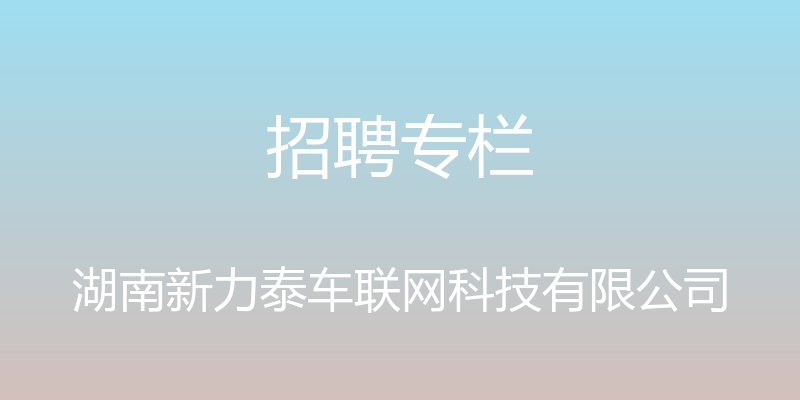 招聘专栏 - 湖南新力泰车联网科技有限公司